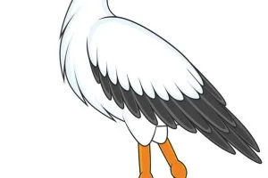 Stork Stork Langeben