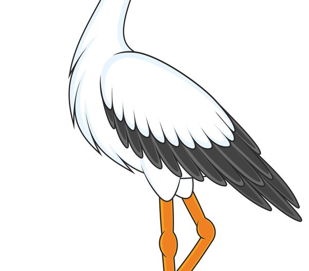 Stork Stork Langeben