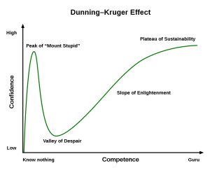 Dunning Kruger Effekten