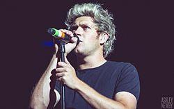 Horan during the On the Road Again Tour at Soldier Field, Chicago in 2015, tags: niall show - CC BY-SA