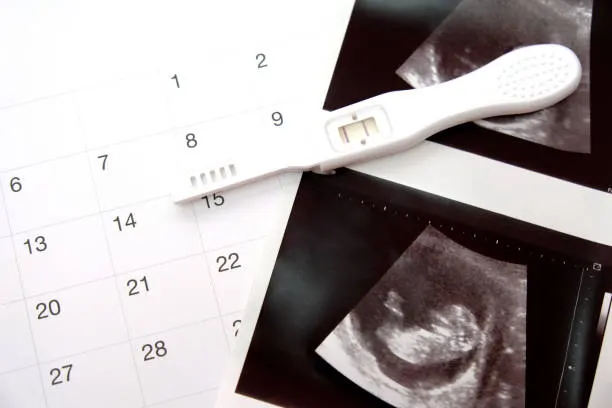 Hvor mange uger er man gravid? Nedtællingen begynder