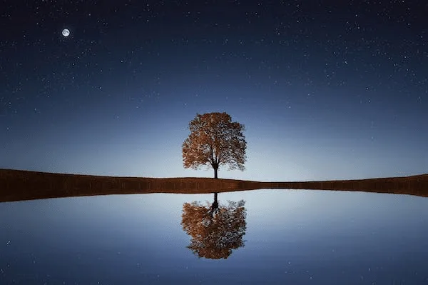 Reflektere