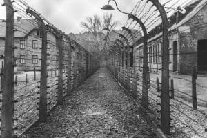 Holocaust