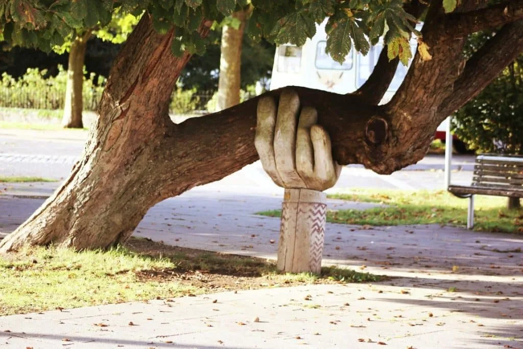 Clever