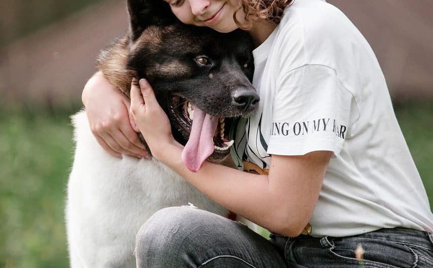 Nordjyllands Politi søger ejer af fundet border collie-blanding i Hjørring