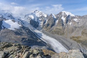 Klimaets pres på landbruget truer global fødevaresikkerhed, advarer forskere