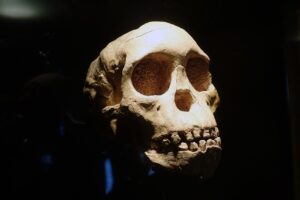 Flere unge i Danmark kæmper med mental sundhed på grund af stigende pres