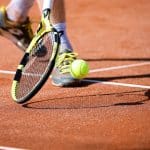 Medvedev sejrer over Mannarino ved Libema Open i 's-Hertogenbosch
