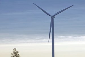 Regeringen lancerer nyt program: Skal spare 5,5 milliarder i offentlig administration inden 2030